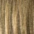 SAND ROOTED