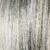 Polarsilver/shad
